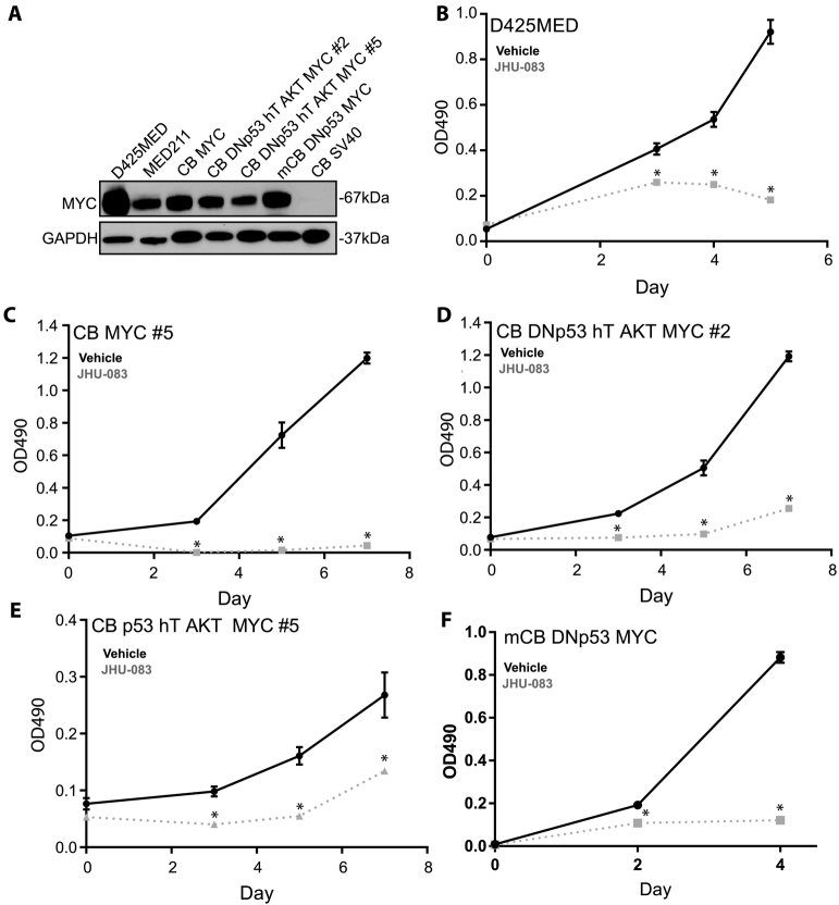 Figure 3