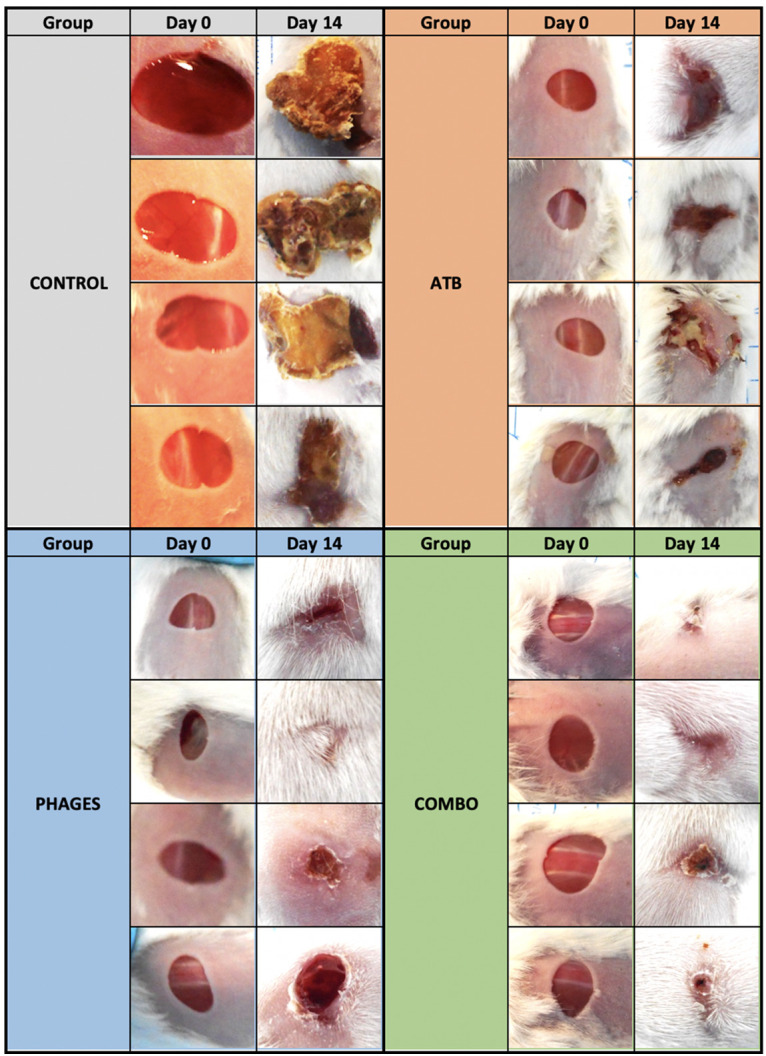 FIG 3