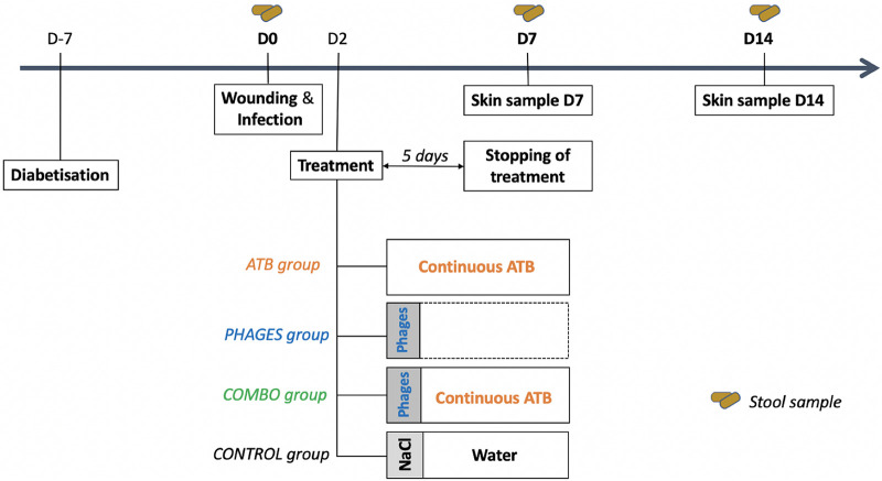 FIG 1