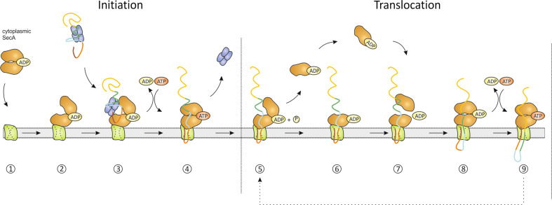 Fig. 3