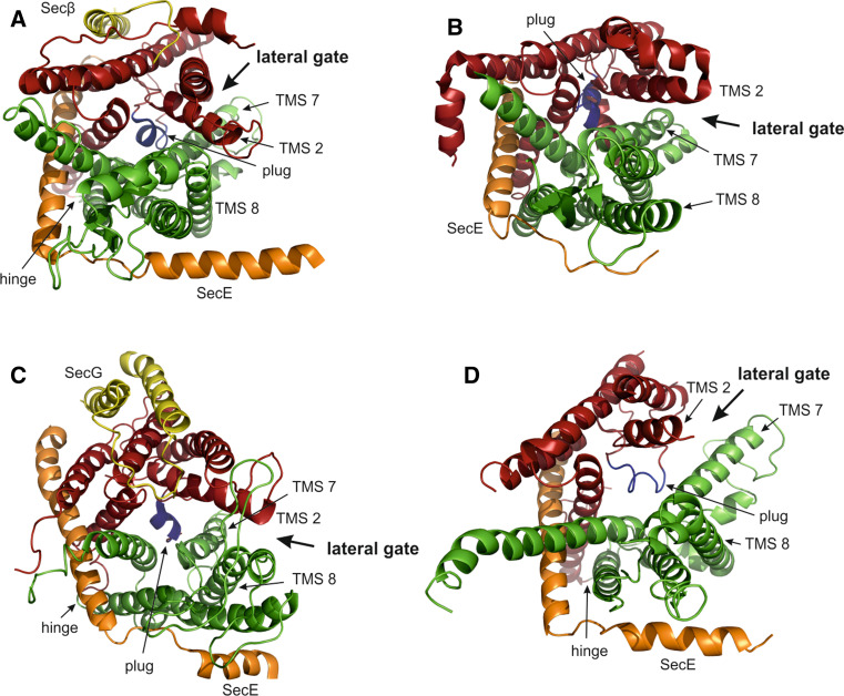 Fig. 1