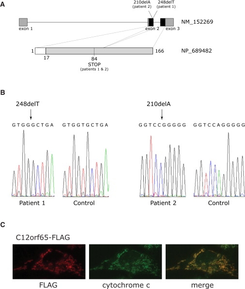 Figure 3