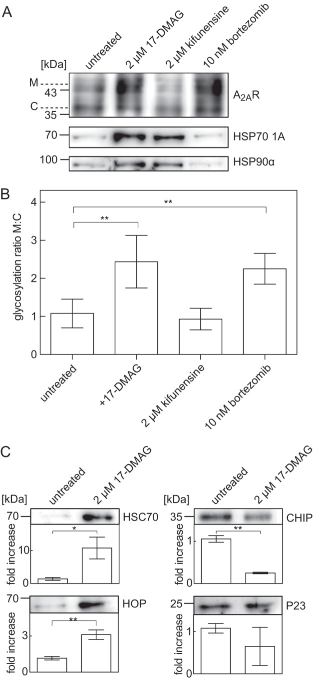 FIGURE 7.