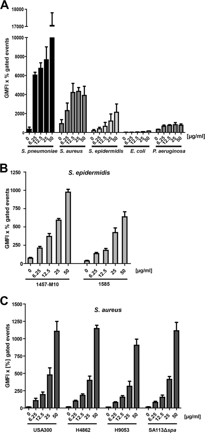 FIGURE 1.