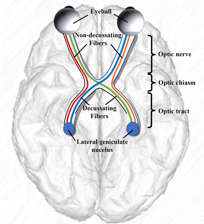 FIGURE 1