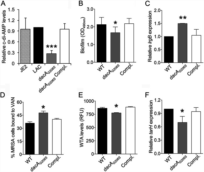 FIG 4
