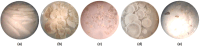 Fig. 4