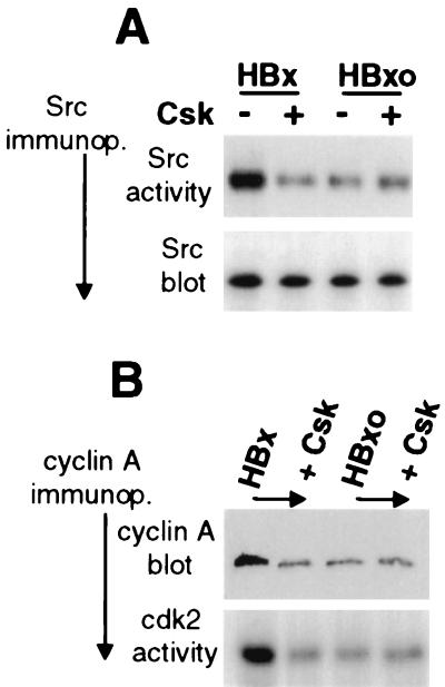 FIG. 6