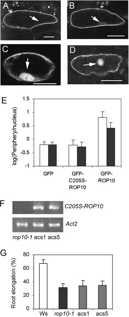 Figure 5.