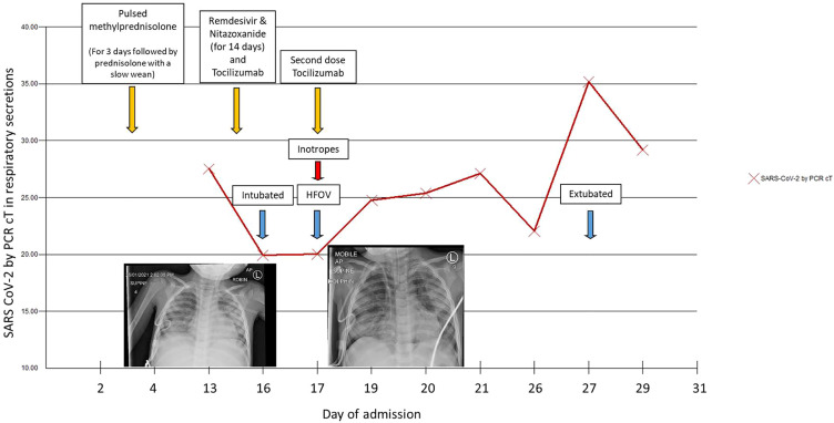 Figure 1