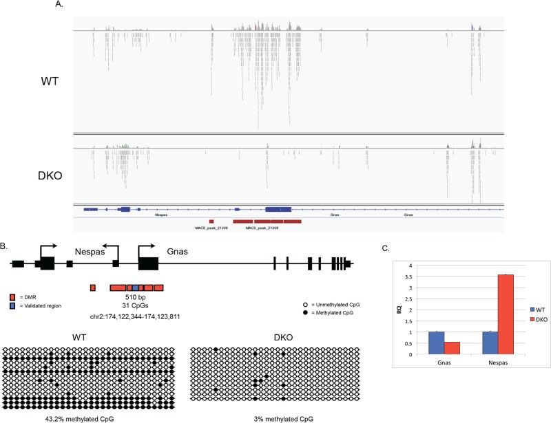 FIGURE 1: