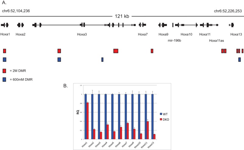 FIGURE 6: