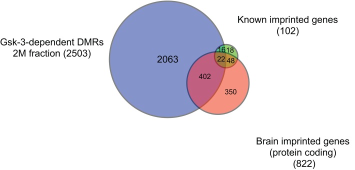 FIGURE 4: