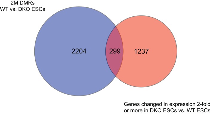 FIGURE 7: