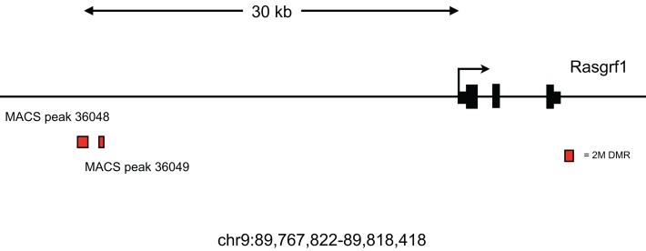 FIGURE 3: