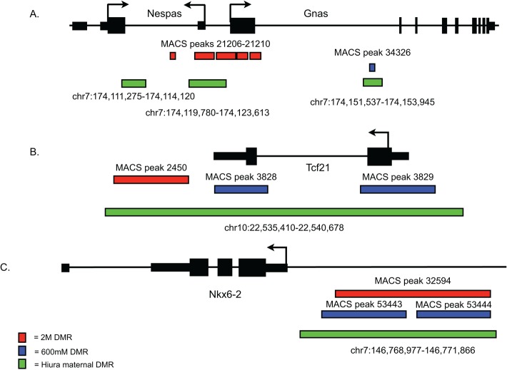 FIGURE 5: