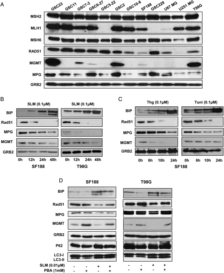 Fig. 2.