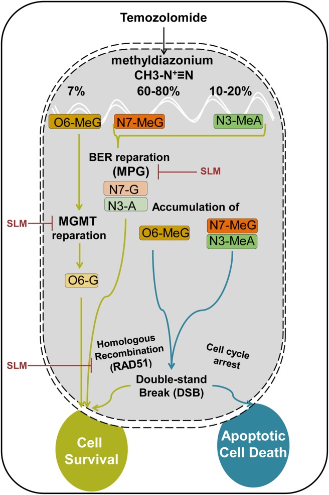 Fig. 6.