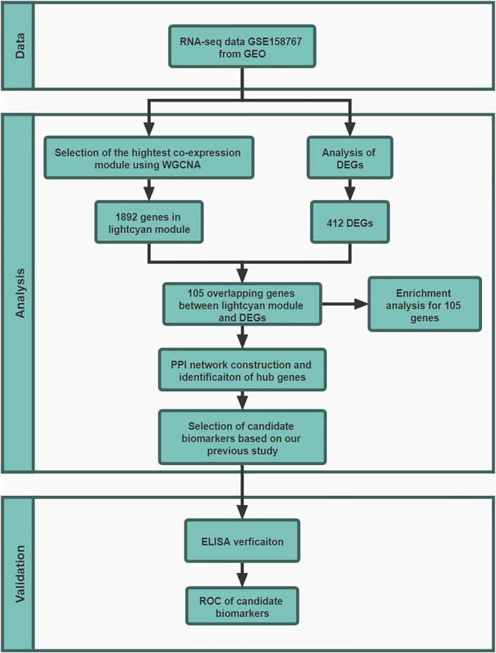 FIGURE 1