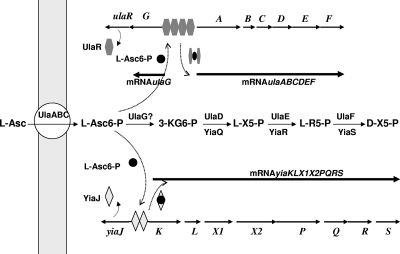 FIG. 6.