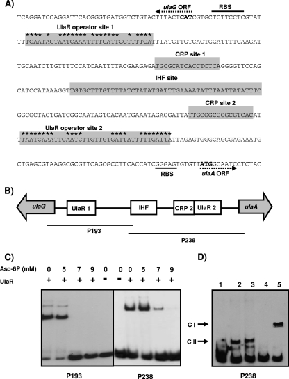 FIG. 5.