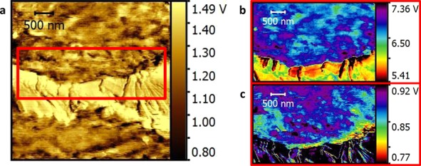 Figure 5