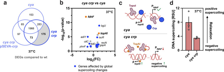 FIG 4
