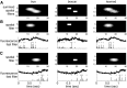 Fig. 10.