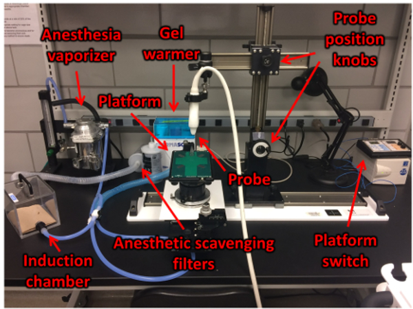 Figure 1: