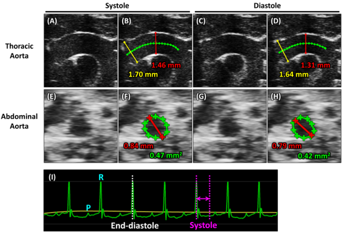 Figure 4: