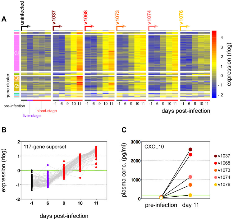 Figure 2—figure supplement 1.