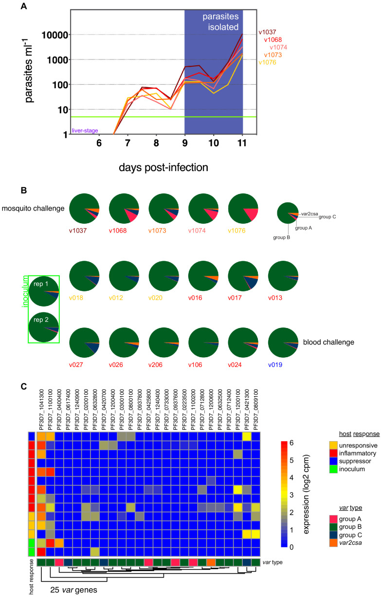 Figure 4—figure supplement 1.