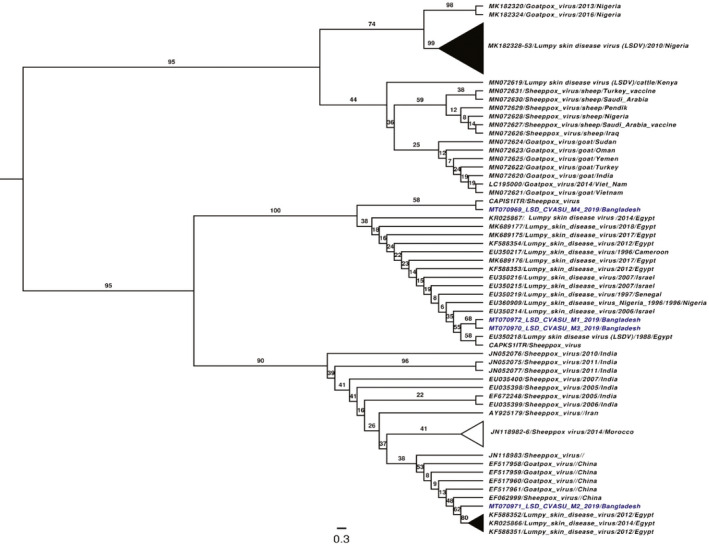 FIGURE 3