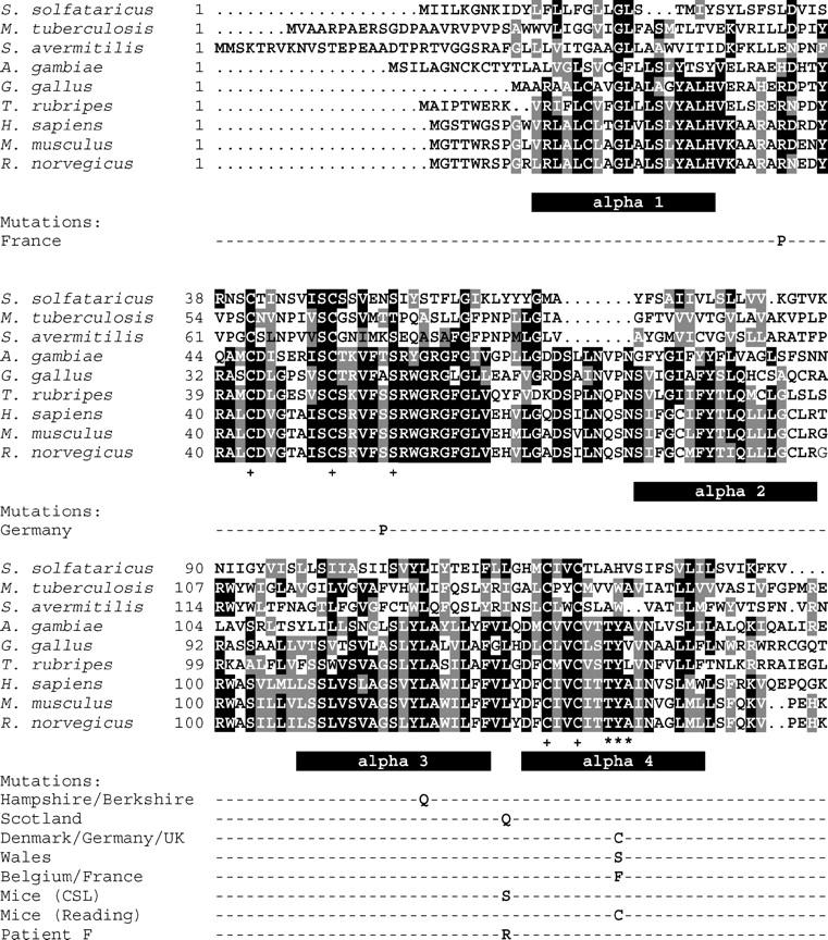 Figure 3.—