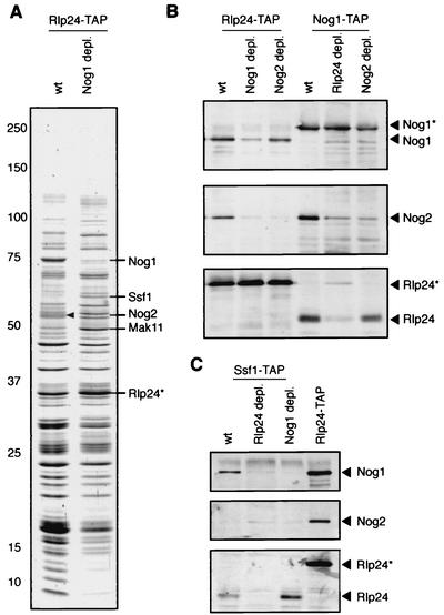 FIG. 5.