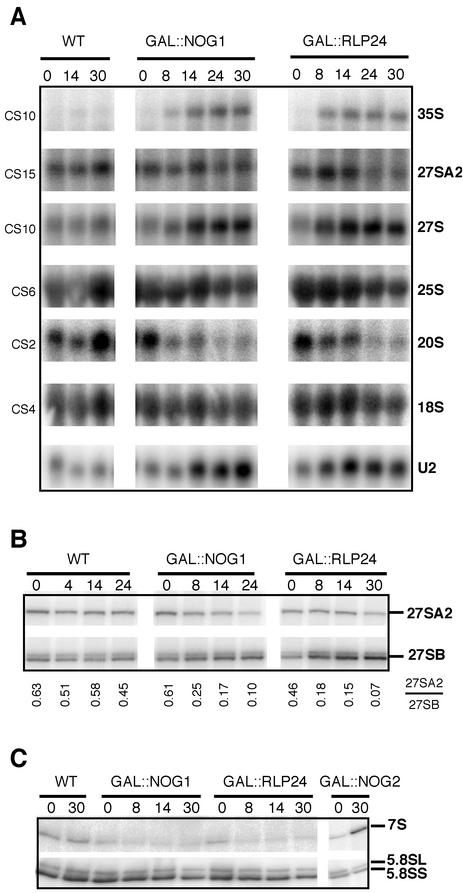 FIG. 3.