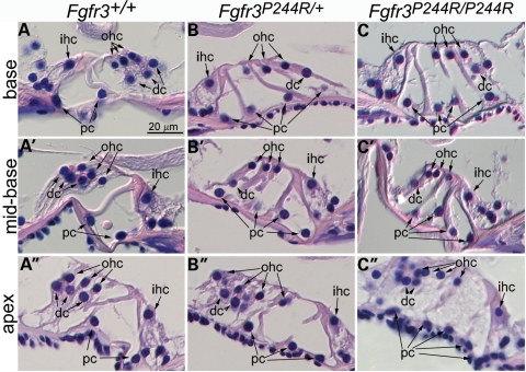 Figure 4.