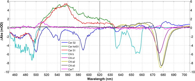 Figure 5