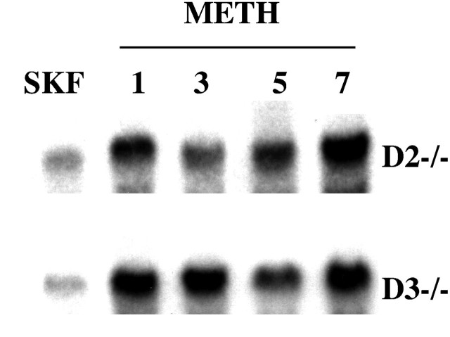 Fig. 9.