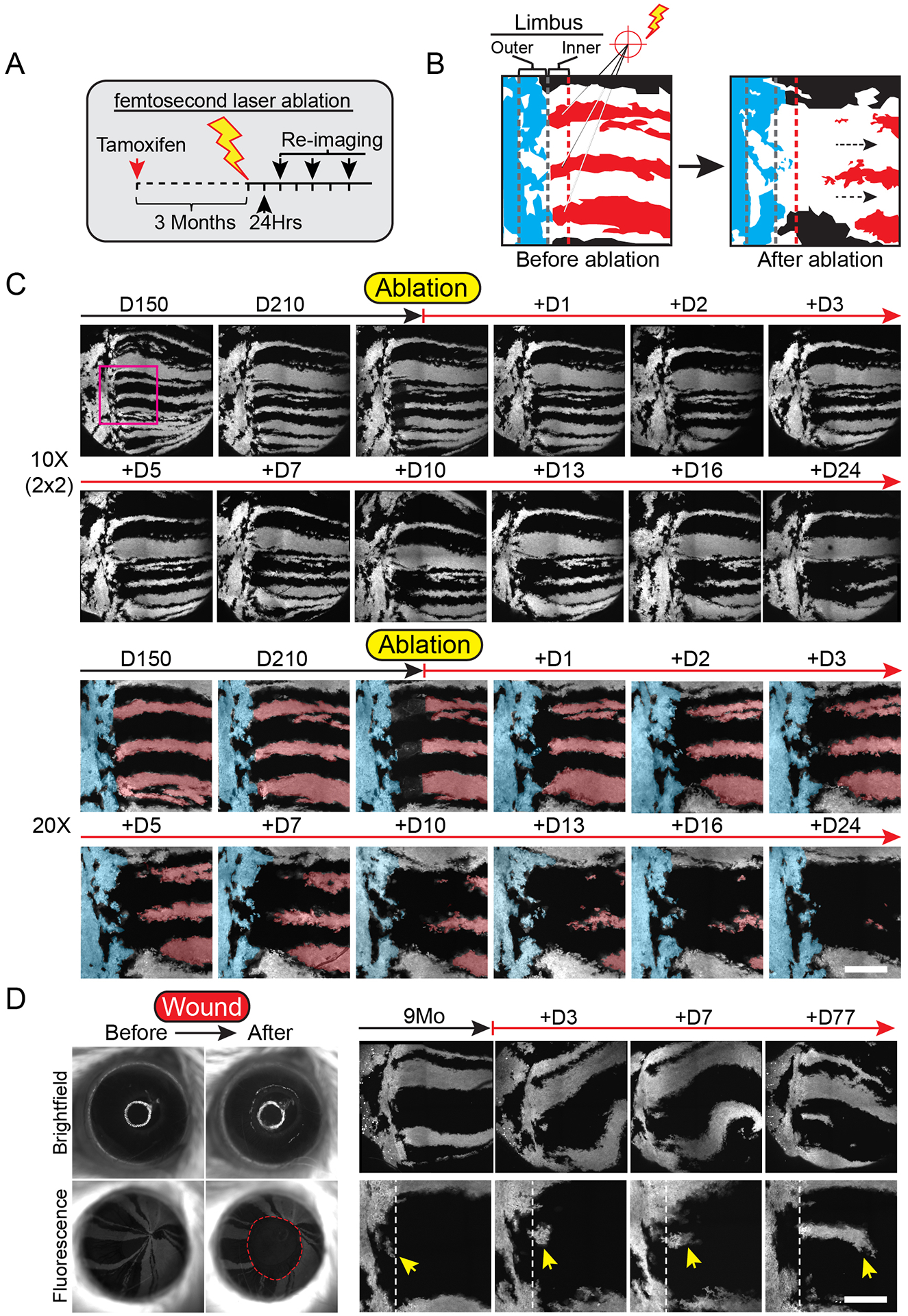 Figure 6.