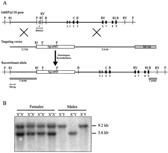 FIG. 1.