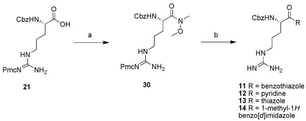 Scheme 5