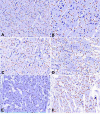 Fig. (3)