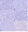 Fig. (4)