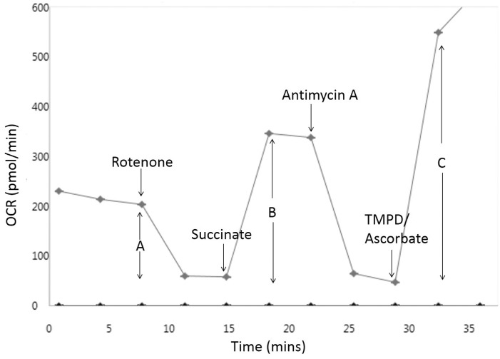 FIG. 3