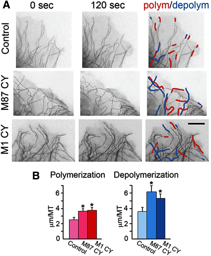 Figure 10.