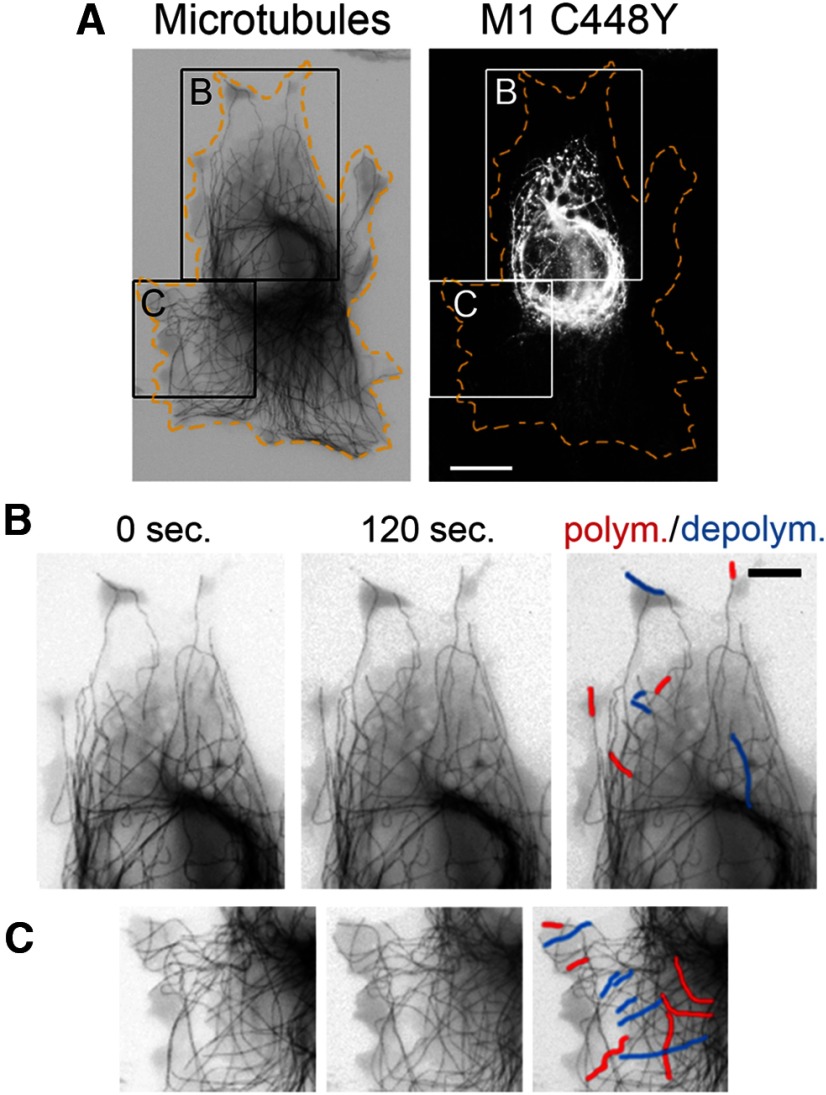 Figure 11.