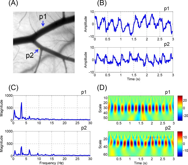 Fig 10