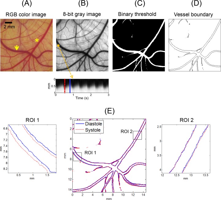 Fig 2