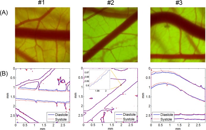 Fig 3